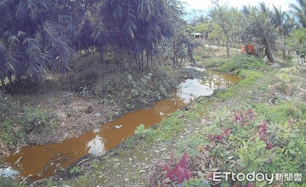 ▲花蓮警方與環保局前往農地勘查蒐證，當場查獲水肥槽車正在排放化糞池水肥至農地內。（圖／保七總隊提供，下同）