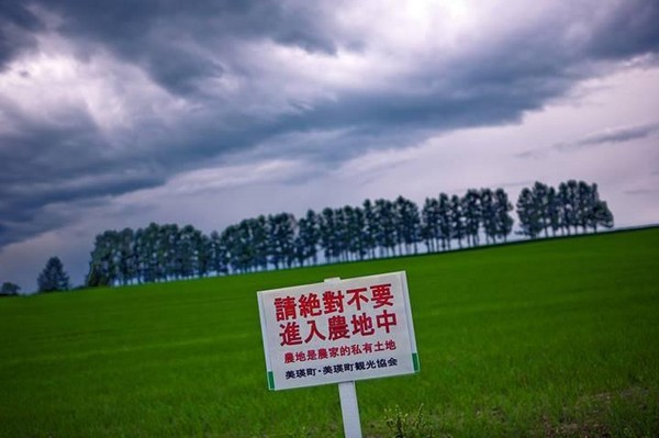 北海道美瑛農地旁禁入是用繁體中文書寫。圖／Wise Lee提供