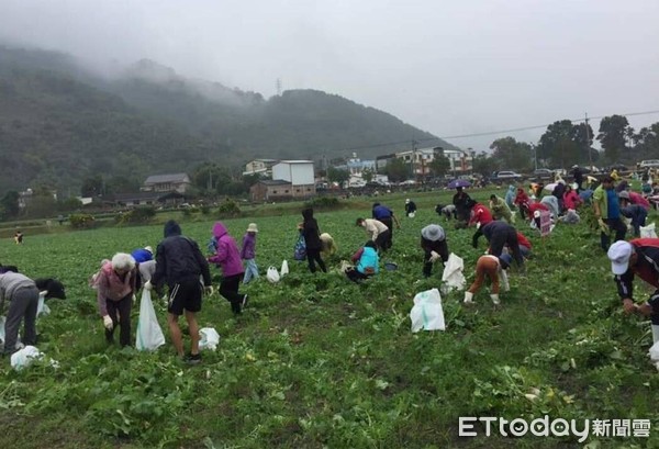 ▲關山鎮一年一度的「客味食在好玩關山蘿蔔季活動」吸引來自全國的遊客，親身體驗田野拔蘿蔔。（圖／台東縣警察局提供，下同）