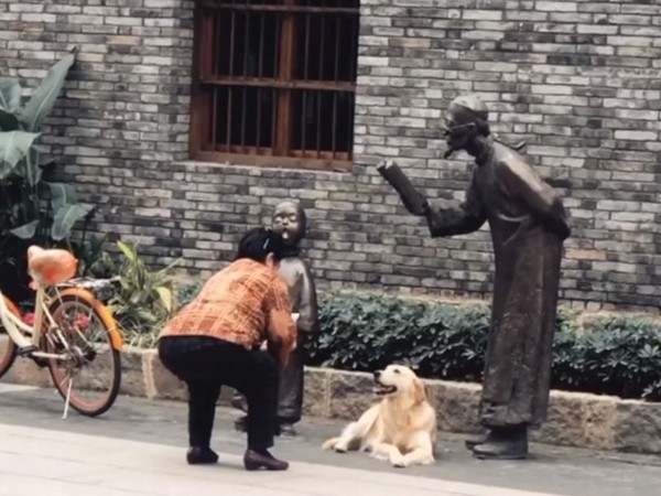 ▲▼來這邊躺好！嬤逛街忙取景　狂喬角度幫「金孫」拍網美照（圖／翻攝自臉書專頁「9GAG」）