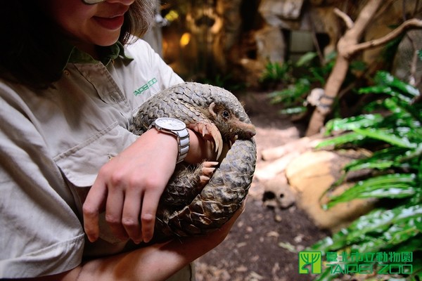 動物園認養計畫。（圖／台北市立動物園提供）