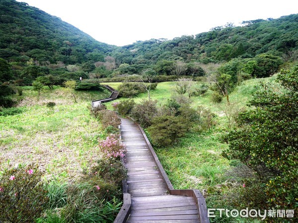 ▲陽明山魚路古道,二子坪步道。（圖／記者彭懷玉攝）