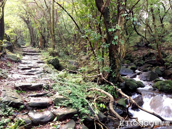 ▲陽明山魚路古道,二子坪步道。（圖／記者彭懷玉攝）