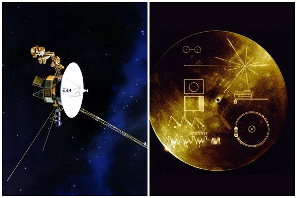 ▲▼航海家一號與「黃金唱片」。（圖／取自NASA網站）