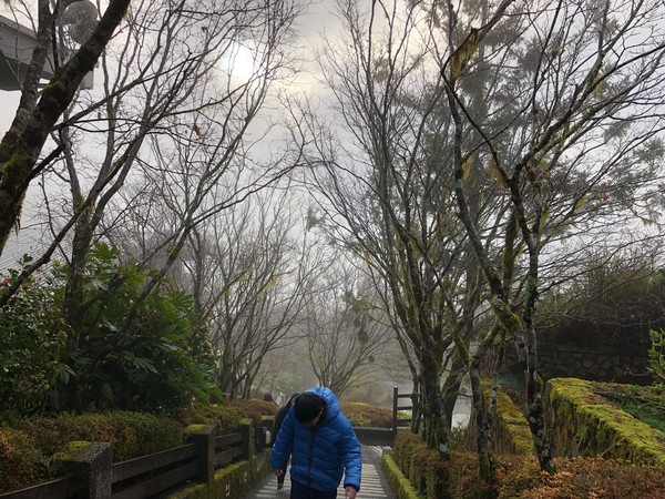 ▲▼冷氣團發威，但太平山國家森林遊樂區，在23日清晨溫度僅在3℃上下，而且山區水氣轉為乾冷，太平山莊經理黃信偉認為雪機率不高。（圖／太平山國家森林遊樂園區提供，下同）