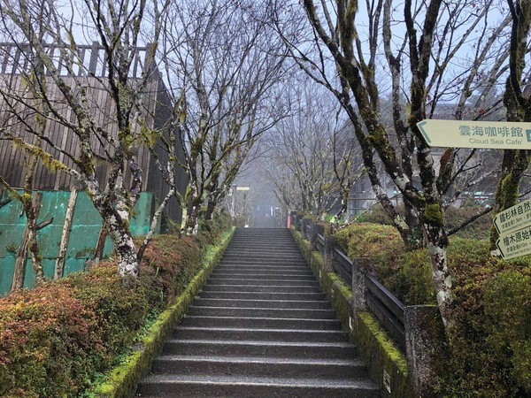 ▲▼冷氣團發威，但太平山國家森林遊樂區，在23日清晨溫度僅在3℃上下，而且山區水氣轉為乾冷，太平山莊經理黃信偉認為雪機率不高。（圖／太平山國家森林遊樂園區提供，下同）