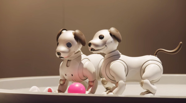 ▲▼索尼（Sony）所開發的狗狗造型機器人「aibo」。（圖／翻攝Sony官方YouTube頻道）