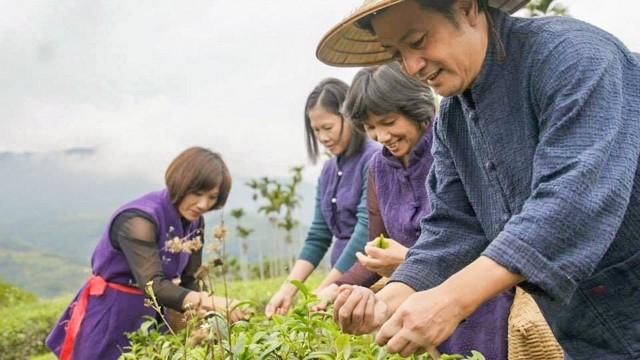 ▲▼嘉茗茶園。（圖／農委會提供）