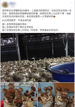▲▼一位網友透露台灣菇業重大突破。（圖／翻攝自Facebook／爆廢公社）