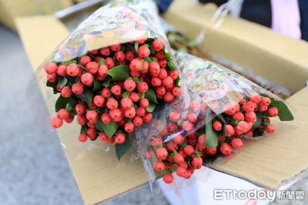 ▲▼台中市拚經濟，外銷3萬支花卉到香港。（圖／台中市政府提供）