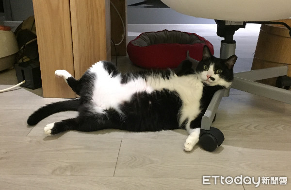 ▲每天回家都會發現拖鞋小一號。（圖／網友Shih Peiyin授權提供）