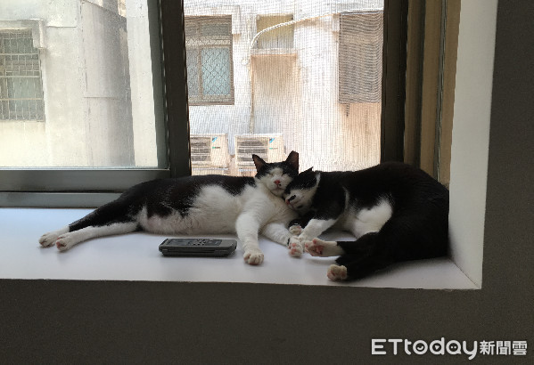 ▲每天回家都會發現拖鞋小一號。（圖／網友Shih Peiyin授權提供）