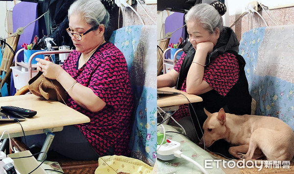 ▲▼曾被浪浪追咬！怕狗嬤誓死反對收編　現在卻織毛衣給金孫穿。（圖／網友沈純婷授權提供）