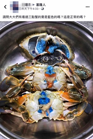 ▲「三點蟹」蟹膏呈現鮮藍色 水試所：免驚啦！。（圖／翻攝自「基隆人」）