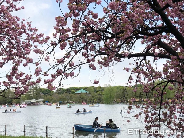 ▲日本,東京,上野公園。（圖／記者陳涵茵攝）