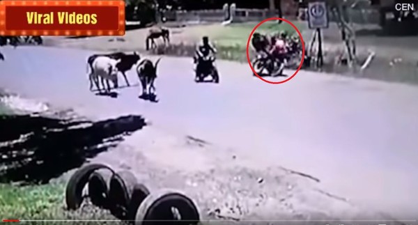 ▼巴拉圭一名女騎士被牛騰空飛起、踹飛  。（圖／翻攝自Youtube Viral Videos）