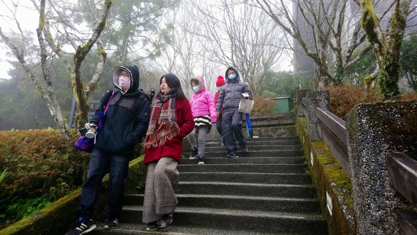 ▲▼太平山國家森林遊樂區26日下午低溫1℃，且有濃霧，1千300遊客湧入等雪。（圖／太平山國家森林遊樂區提供，下同）