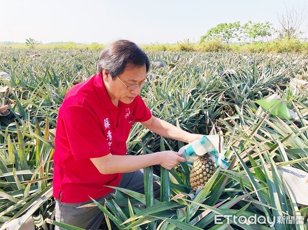 ▲中華華夏農經協會：台灣農特產品賣出去　農民把錢賺進來▼             。（圖／記者陳崑福翻攝）