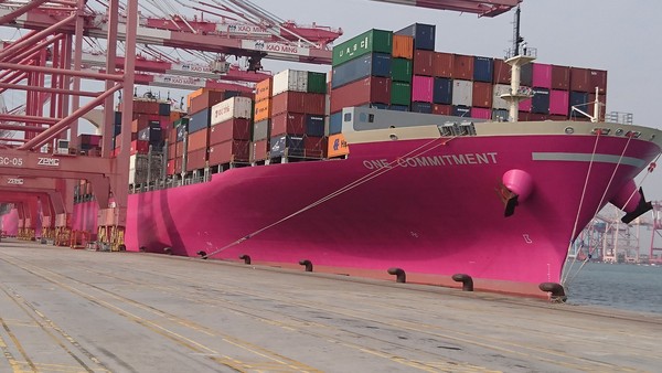 ▲▼療癒系貨櫃輪開進高雄港　網發燒蓋樓：是粉紅豹貨輪嗎？（圖／翻攝自聯結車運輸業照片影片資訊分享團）