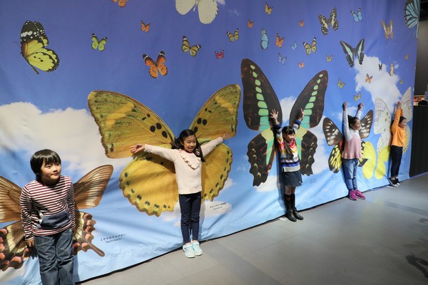 ▲日本最夯「變變變！MOVE生物體驗展」登台。（圖／聯合數位文創提供）