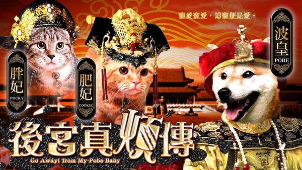 ▲柴可兔斯貓-治療犬Pobe和短腿貓的日常         。（圖／粉專柴可兔斯貓-治療犬Pobe和短腿貓的日常授權，請勿隨意翻拍，以免侵權，下同。）