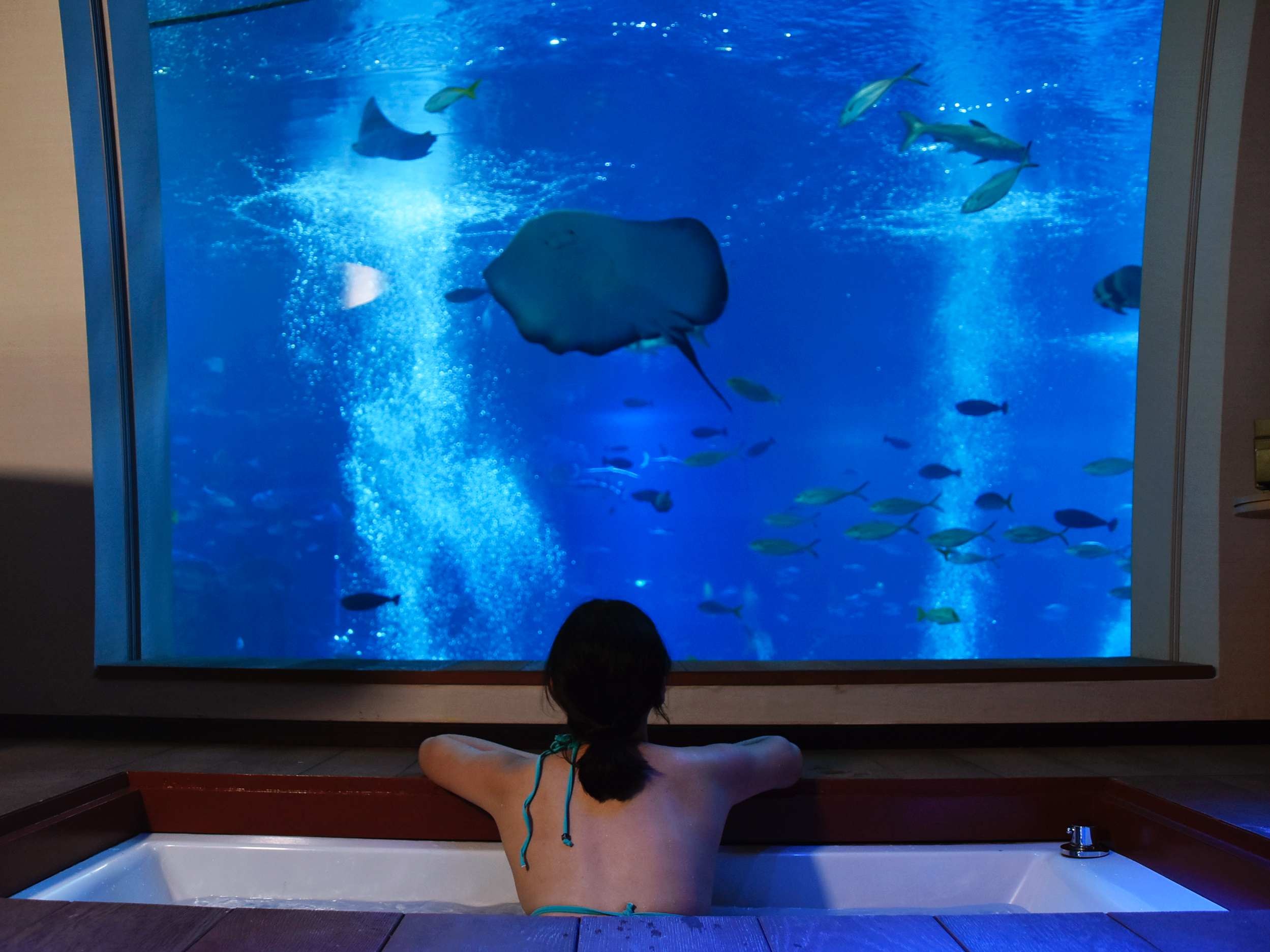 此生必住夢幻海底景觀房沉睡在海裡 泡澡看魟魚悠遊 Ettoday旅遊雲 Ettoday新聞雲