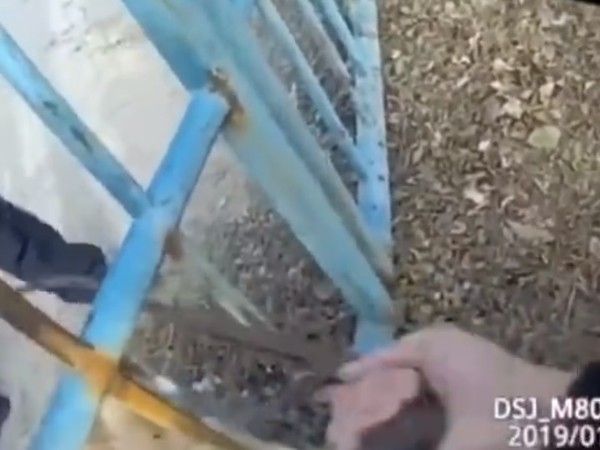 小胖狗卡住。（圖／翻攝自微博頭條新聞）