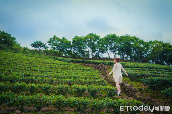 ▲新北小鎮旅遊。（圖／新北市政府提供）