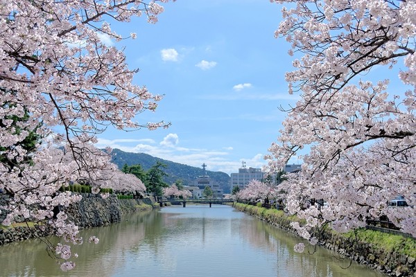 ▲▼             。（圖／翔笙旅行社提供）