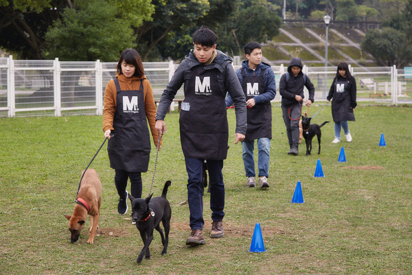 17 Media關懷流浪狗年前送暖　企業與員工攜手樂捐（圖／17直播提供）