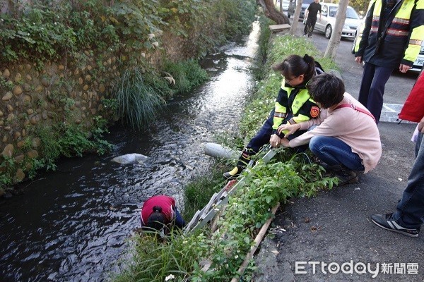 ▲米克斯犬離家出走卻跌落2公尺高的水溝中。（圖／大園警分局提供）