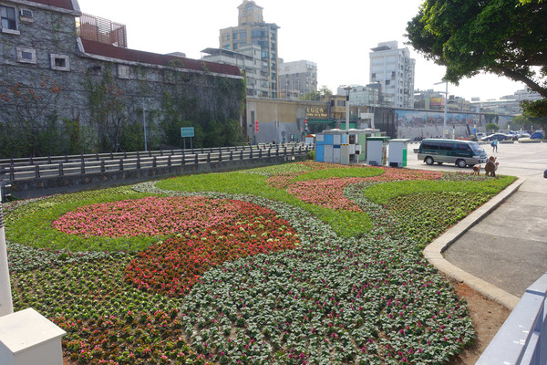 ▲▼大稻埕花海。（圖／水利處提供）