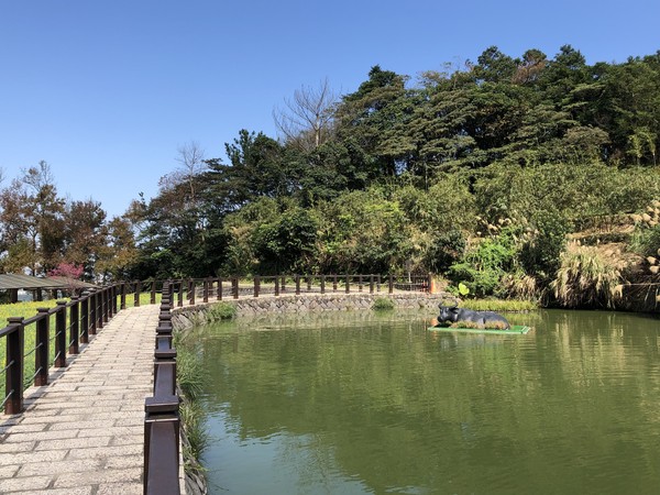 ▲▼文山區樟樹步道綠意盎然。（圖／大地處提供）
