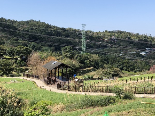 ▲▼文山區樟樹步道綠意盎然。（圖／大地處提供）