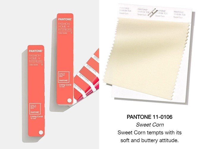 ▲sweet corn color甜玉米色。（圖／翻攝自pantone、66girls、meierq）
