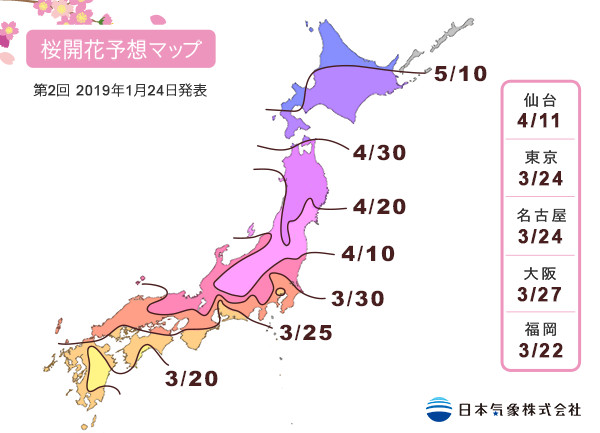 ▲日本、韓國賞櫻▼             。（圖／五福旅遊、日本氣象株式會社、shutterstock.com提供）