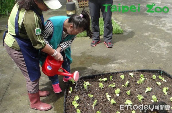 ▲永續動物食堂！動物排出「黑金」栽種植物　替自己飯飯加料。（圖／網友台北動物園提供，請勿隨意翻拍，以免侵權。）