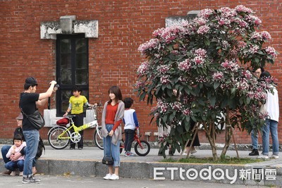現在大學生都不國旅了嗎?公司實習生答案超意外 網揭另一種玩法