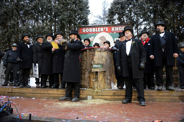 ▲▼賓夕尼亞法州知名土撥鼠「菲爾（Punxsutawney Phil）」。（圖／路透社）