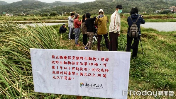 ▲ 新北走春賞鳥路線多 動保處籲遵守賞鳥守則。（圖／新北市動保處提供）