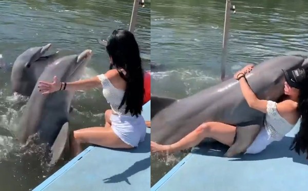 火辣正妹遭興奮海豚「壓在身上」　尷尬慘叫：牠愛上我了！（圖／翻攝自Instagram／priprirosepr）