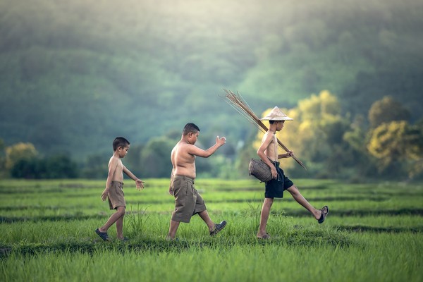 ▲▼寮國,小孩,田。（圖／取自免費圖pixabay）