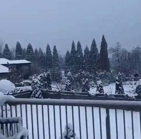 ▲張柏芝曬豪宅雪景，影片中出現神秘男聲。（圖／翻攝自張柏芝Instagram）