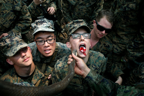 ▲▼金色眼鏡蛇聯合軍演，美軍士兵嘗試生吞毒蠍、喝蛇血、用保險套煮飯。（圖／路透）