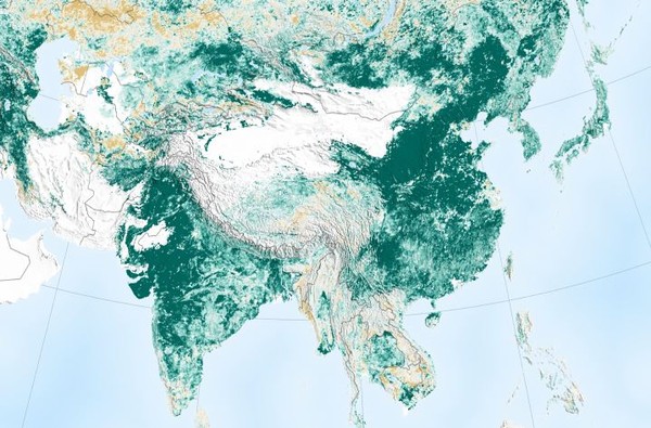 ▲▼近20年中國大陸、印度植被大幅增加。（圖／翻攝自NASA The Earth Observatory）