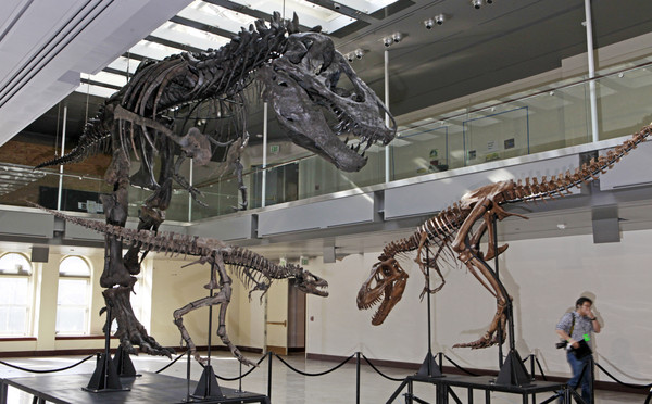 ▲▼澳洲恐龍時代博物館（Age of Dinosaurs Museum）。（圖／達志影像／美聯社）