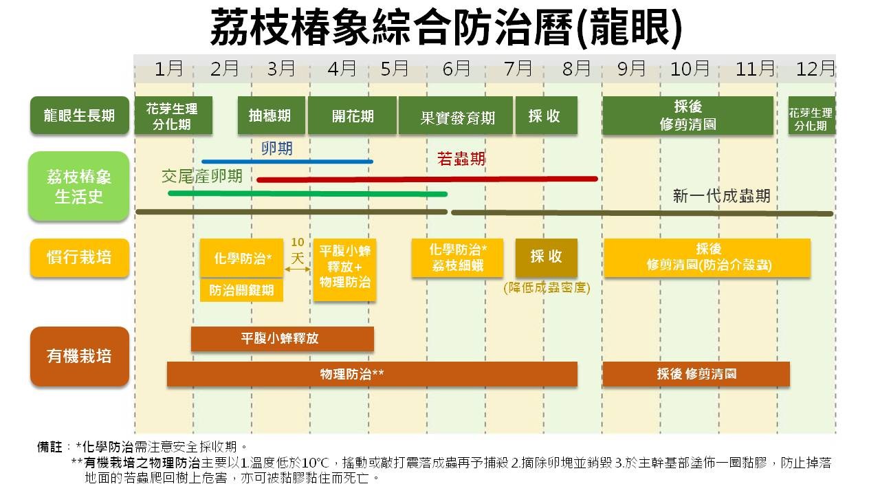 农委会防检局副局长邹慧娟说,在防治时机上,由於冬季低温时荔枝椿象