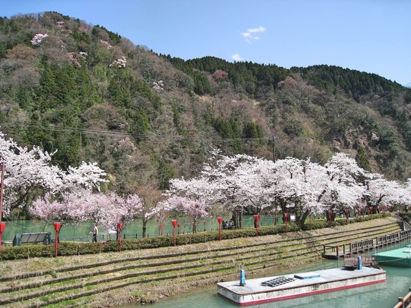 ▲日本北陸　立山黑部▼             。（圖／七逗旅遊網提供）