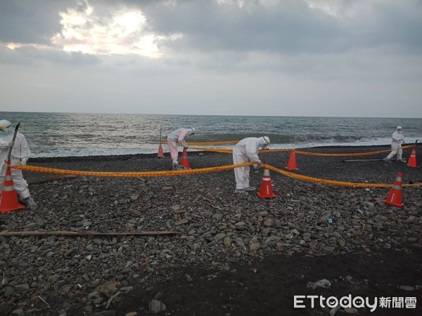 ▲屏東縣枋山鄉海邊發現死豬　未感染非洲豬瘟虛驚▼             。（圖／記者陳崑福翻攝）