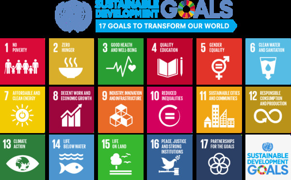 ▲ 聯合國17項永續發展目標(SDGs) 。（圖／取自聯合國網站）